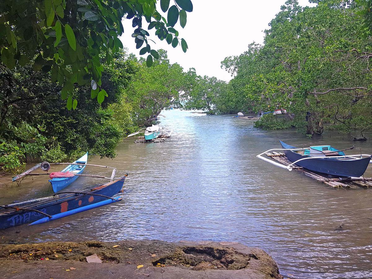Sofias House Holiday home Tagbilaran City
